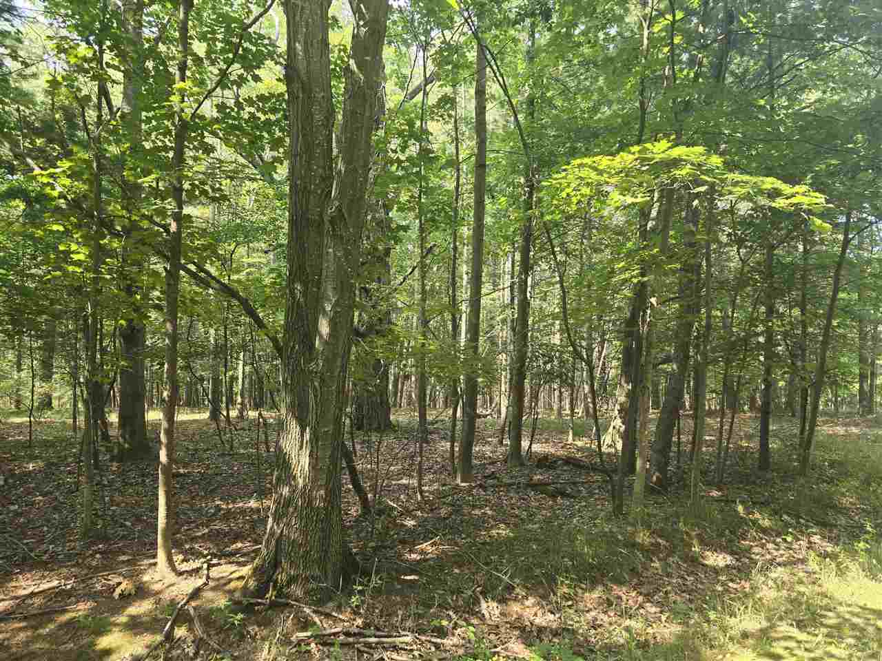 8745 Voyageur Trail Harbor Springs MI 49740