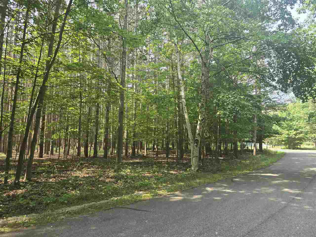 8745 Voyageur Trail Harbor Springs MI 49740
