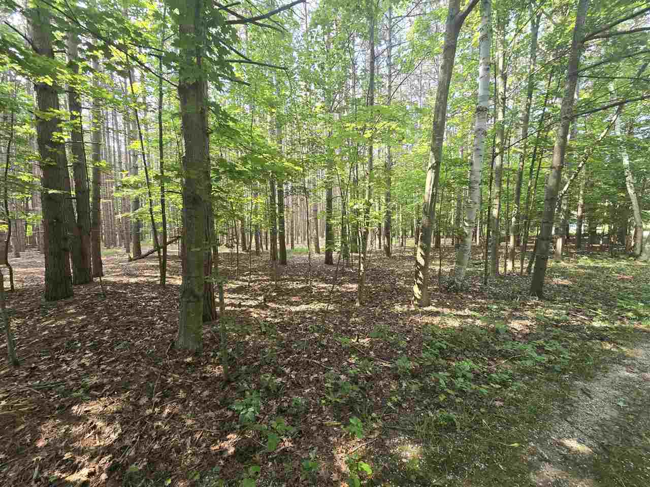 8745 Voyageur Trail Harbor Springs MI 49740