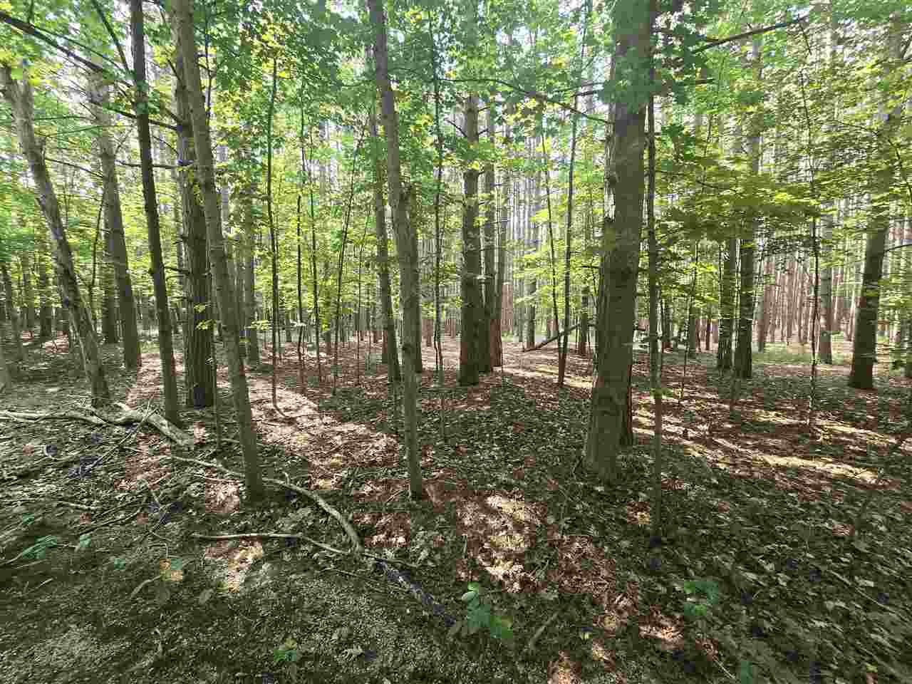 8745 Voyageur Trail Harbor Springs MI 49740