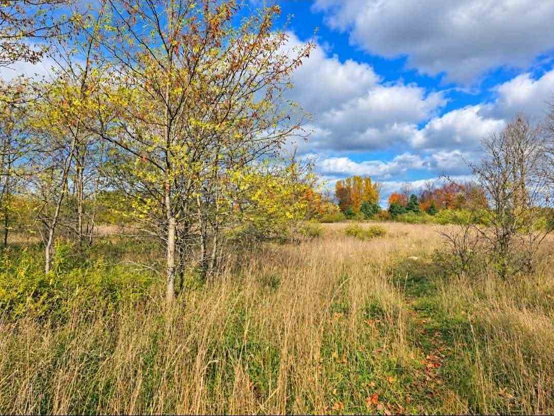 Tbd W Carpenter/sheridan Street Charlevoix MI 49720