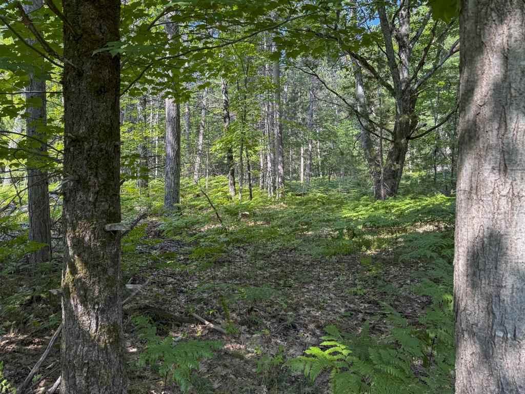 Tbd East Side Drive, Lot 64 Beaver Island MI 49782