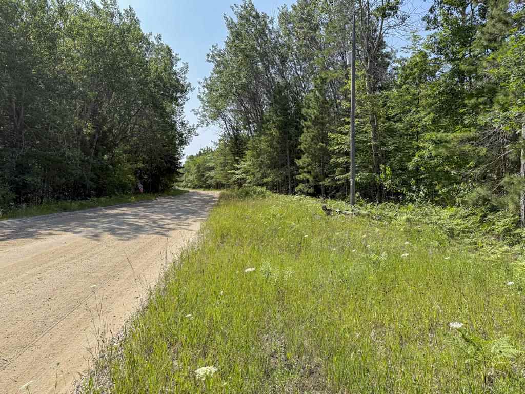 Tbd East Side Drive, Lot 64 Beaver Island MI 49782