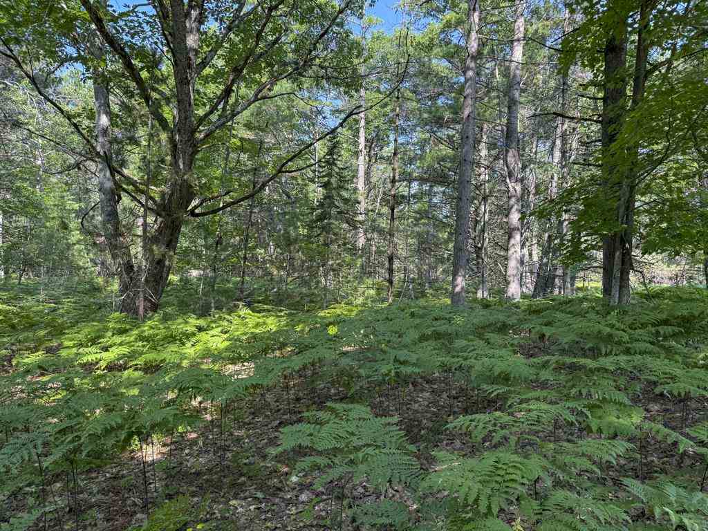 Tbd East Side Drive, Lot 64 Beaver Island MI 49782