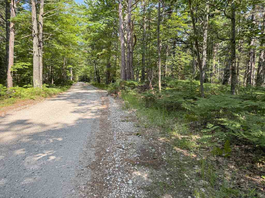 Tbd East Side Drive, Lot 64 Beaver Island MI 49782