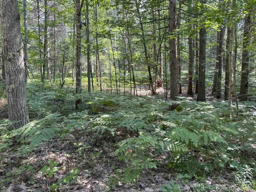 Tbd East Side Drive, Lot 64 Beaver Island MI 49782