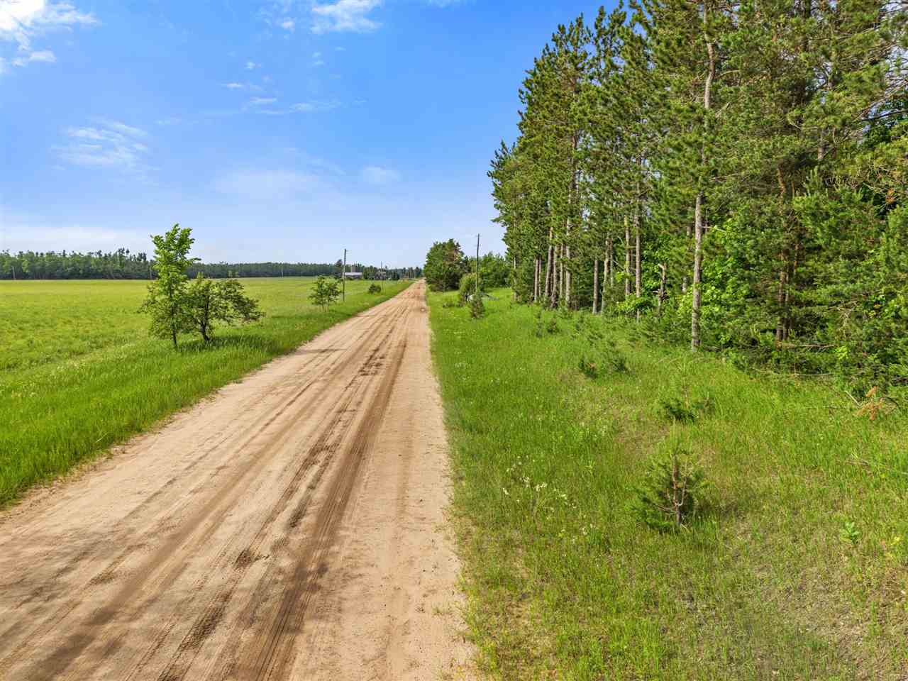 3745 Shaff Road Gaylord MI 49735