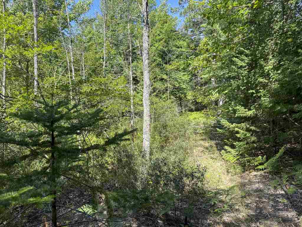 Lot 58 East Side Drive Beaver Island MI 49782
