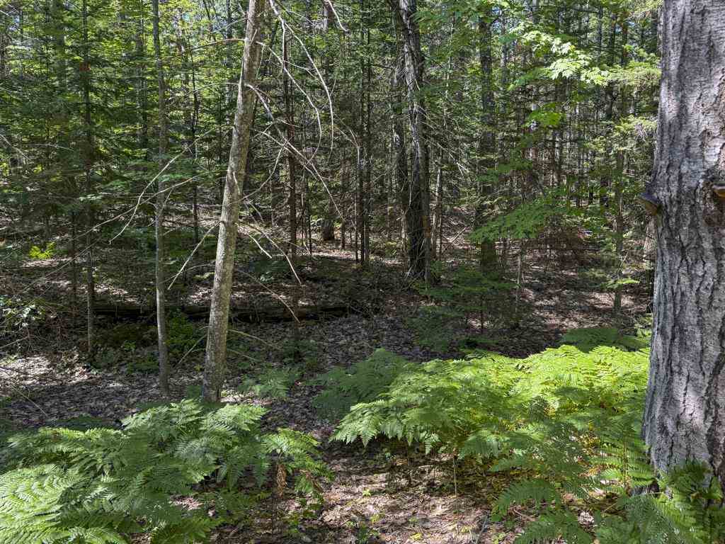 Lot 58 East Side Drive Beaver Island MI 49782