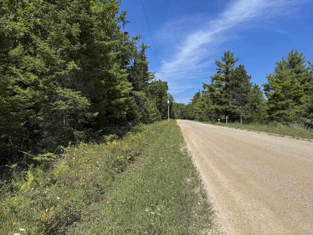 Lot 58 East Side Drive Beaver Island MI 49782