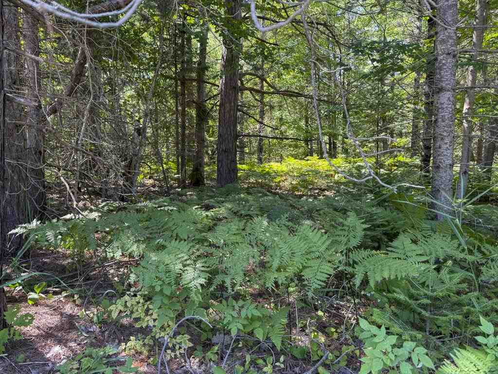 Lot 58 East Side Drive Beaver Island MI 49782
