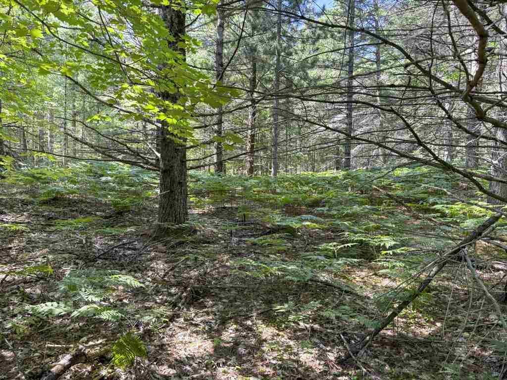 Lot 58 East Side Drive Beaver Island MI 49782