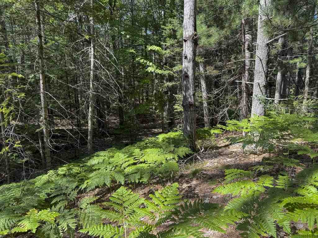 Lot 58 East Side Drive Beaver Island MI 49782