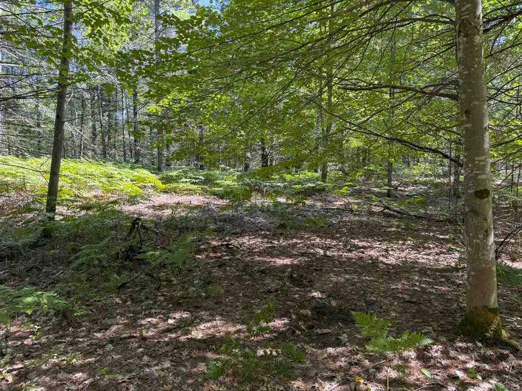 Lot 58 East Side Drive Beaver Island MI 49782