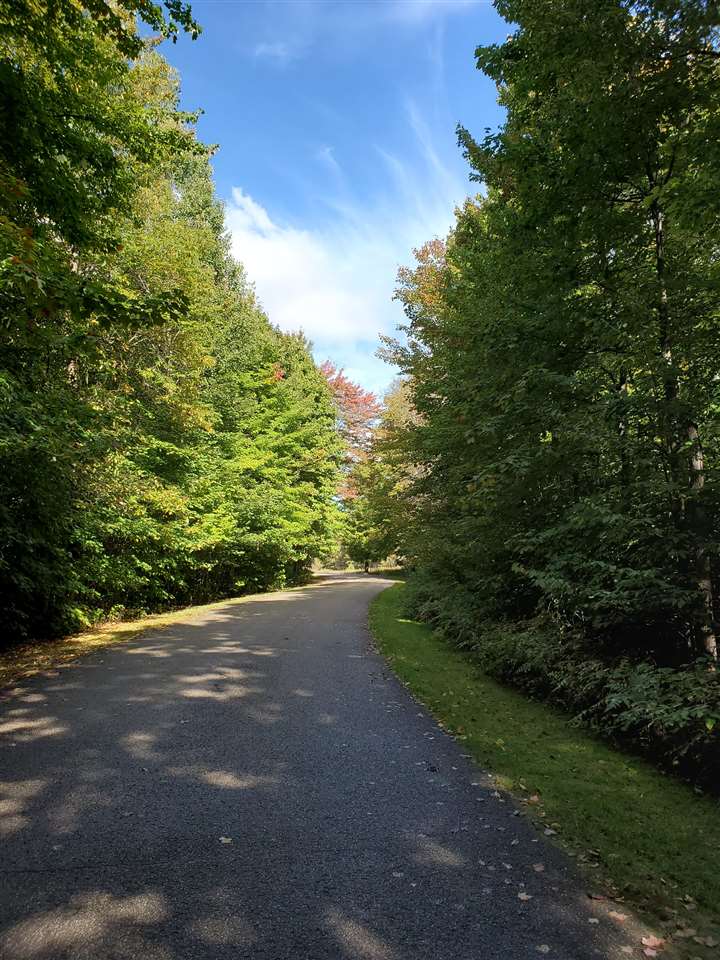 752 Aronimink Drive Harbor Springs MI 49740