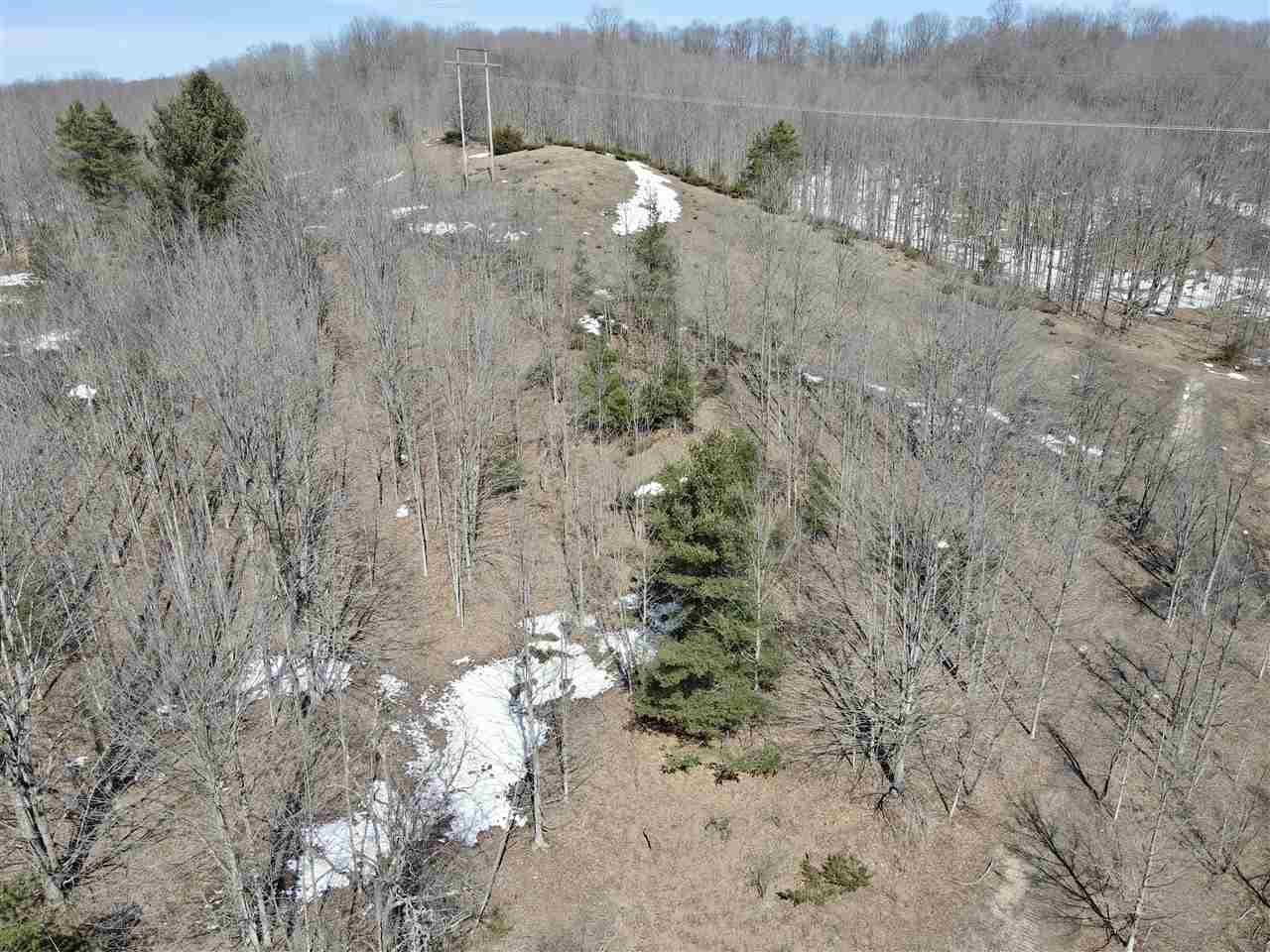 Tbd Pesek Road East Jordan MI 49727
