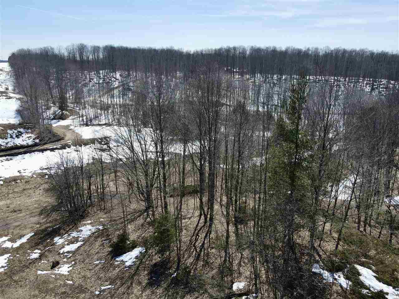 Tbd Pesek Road East Jordan MI 49727
