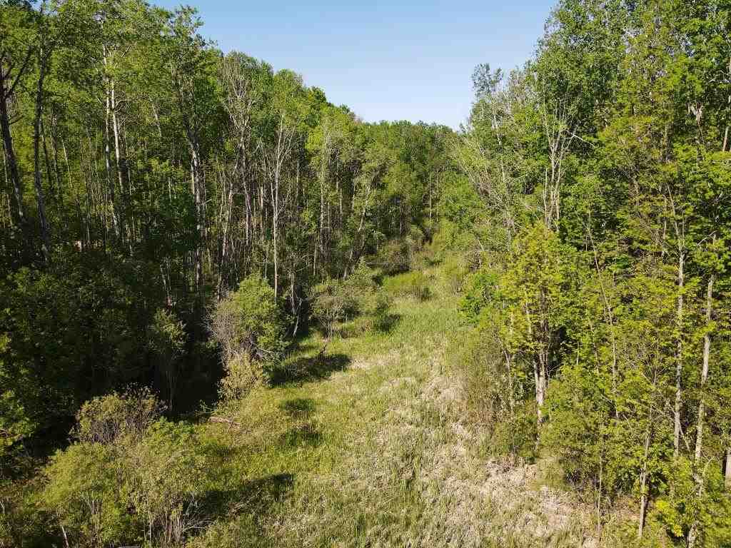 Tbd Pesek Road East Jordan MI 49727