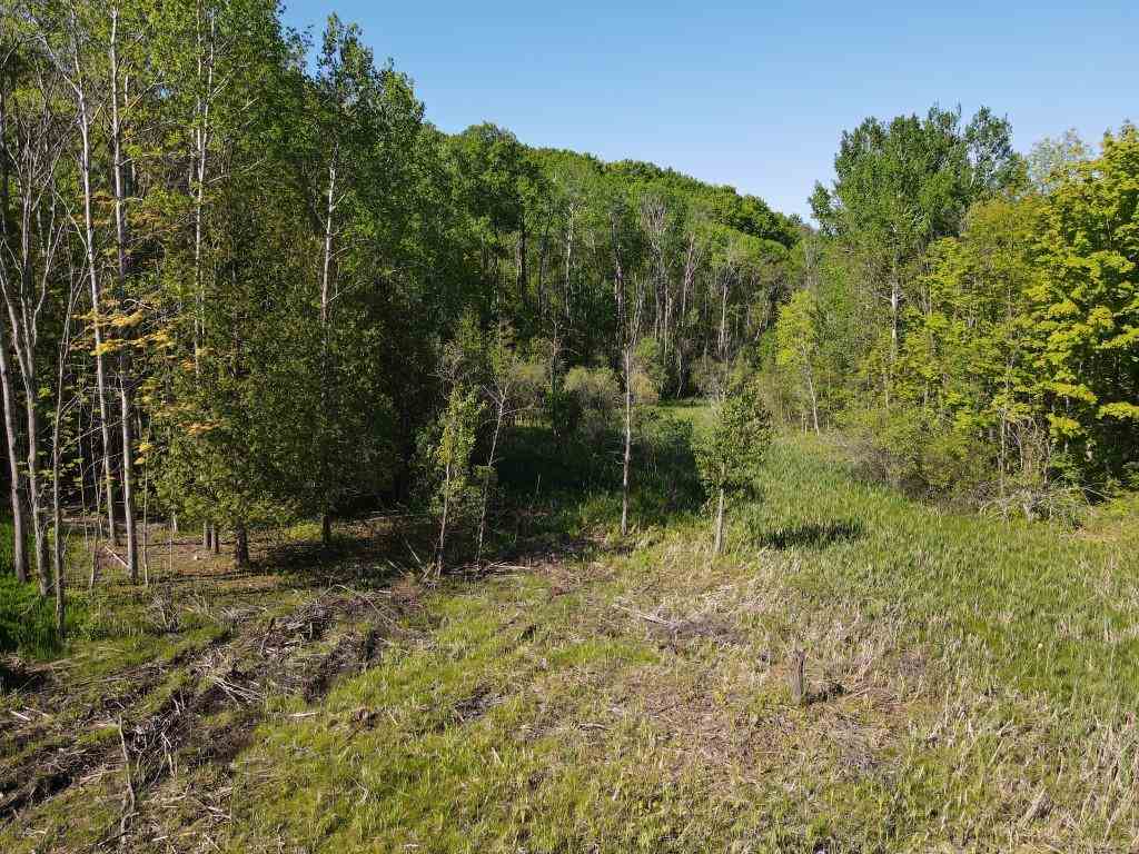 Tbd Pesek Road East Jordan MI 49727