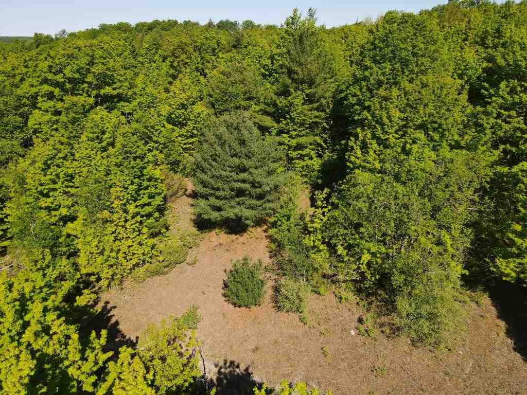 Tbd Pesek Road East Jordan MI 49727
