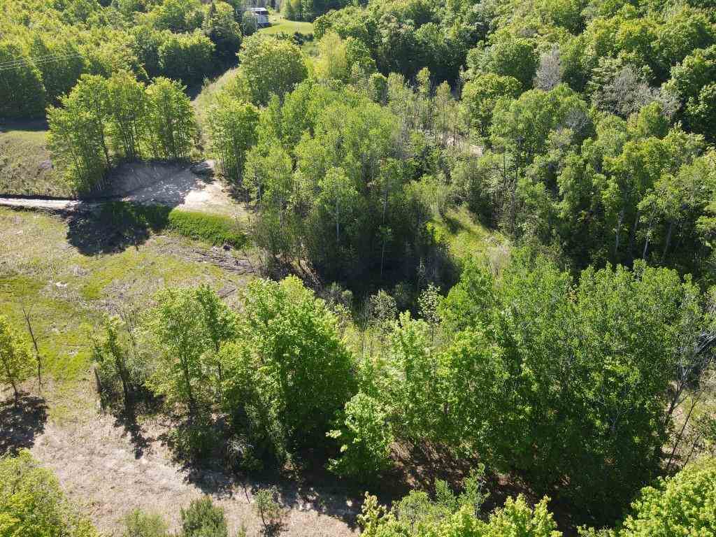 Tbd Pesek Road East Jordan MI 49727