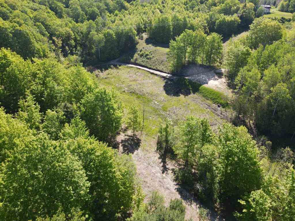 Tbd Pesek Road East Jordan MI 49727