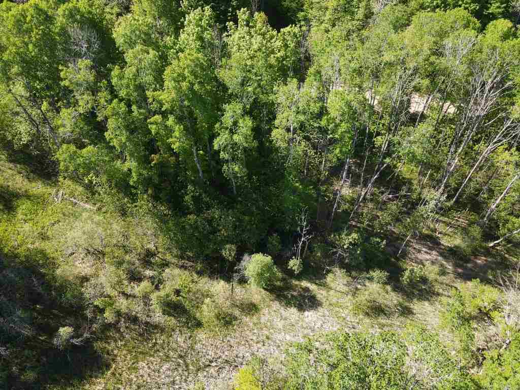 Tbd Pesek Road East Jordan MI 49727