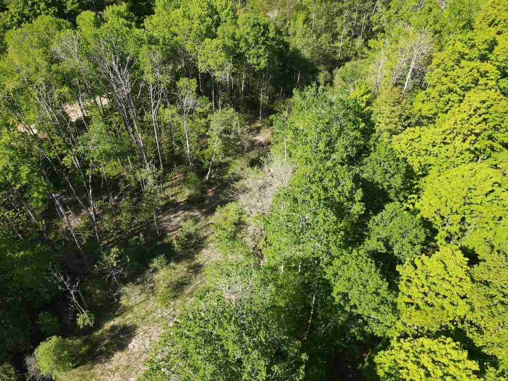 Tbd Pesek Road East Jordan MI 49727