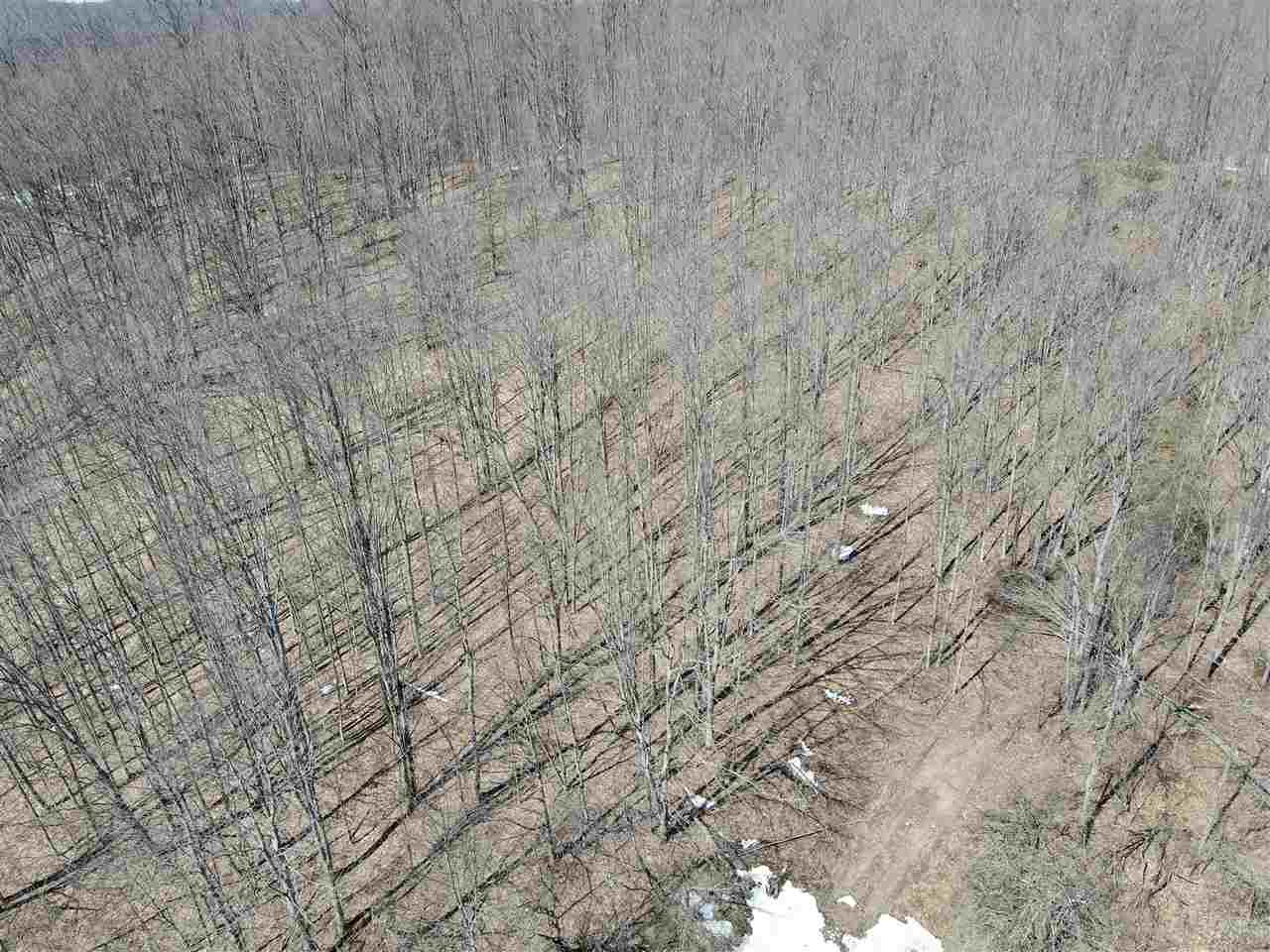 Tbd Pesek Road East Jordan MI 49727