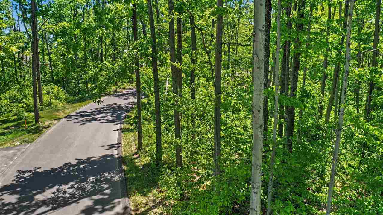 3215 Greenbriar Harbor Springs MI 49740