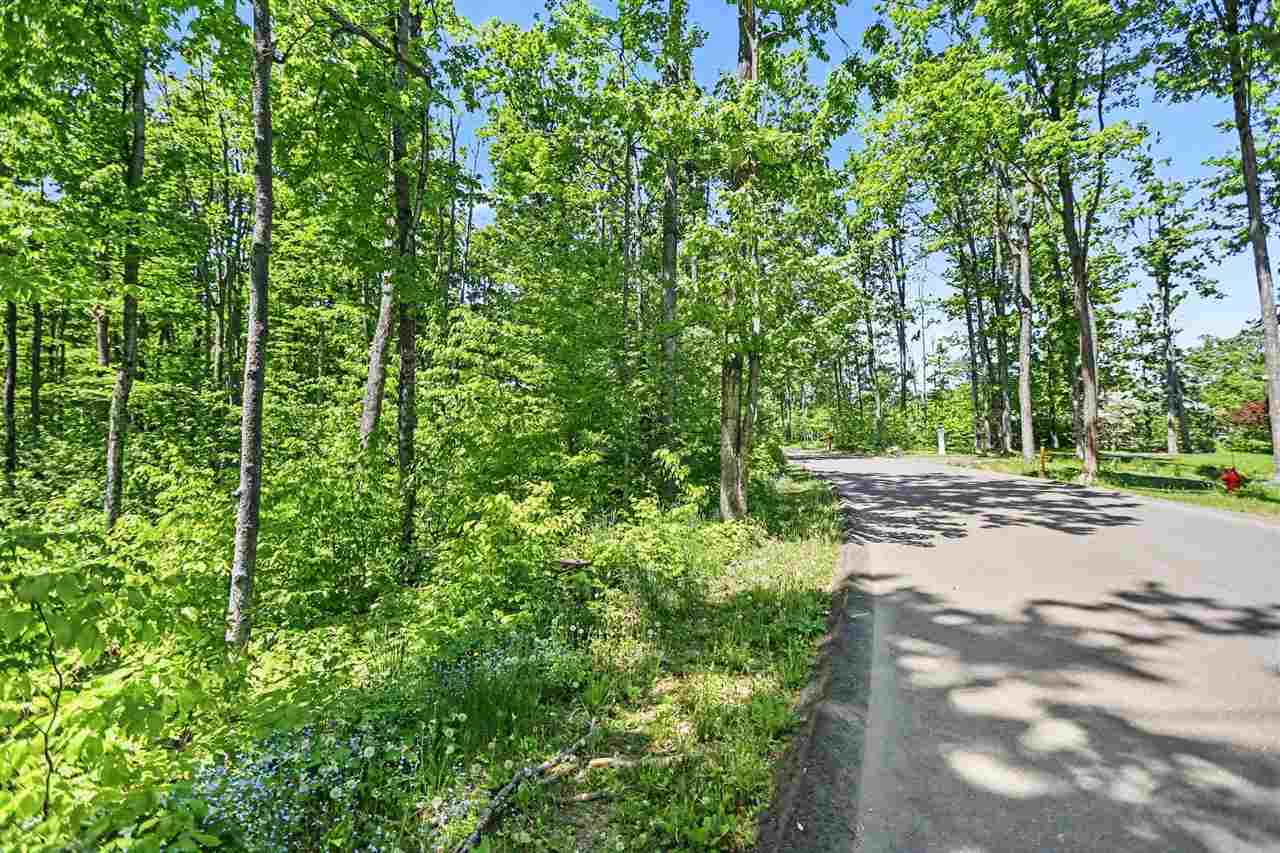 3215 Greenbriar Harbor Springs MI 49740