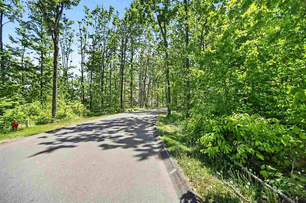 3215 Greenbriar Harbor Springs MI 49740