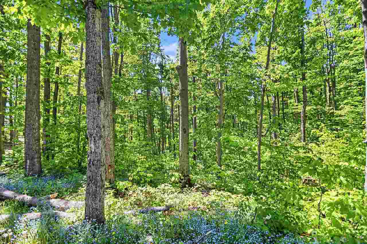 3215 Greenbriar Harbor Springs MI 49740