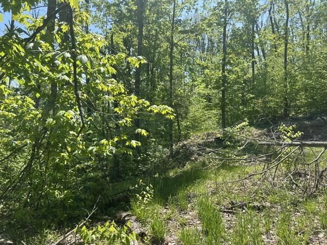 5436 Valley Road Alanson MI 49706