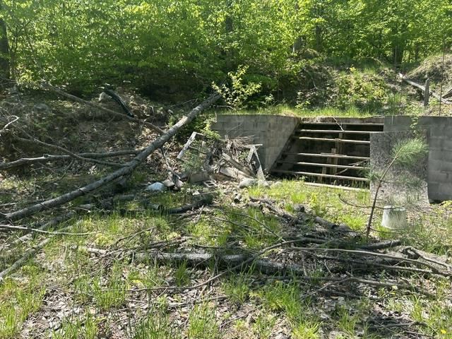 5436 Valley Road Alanson MI 49706