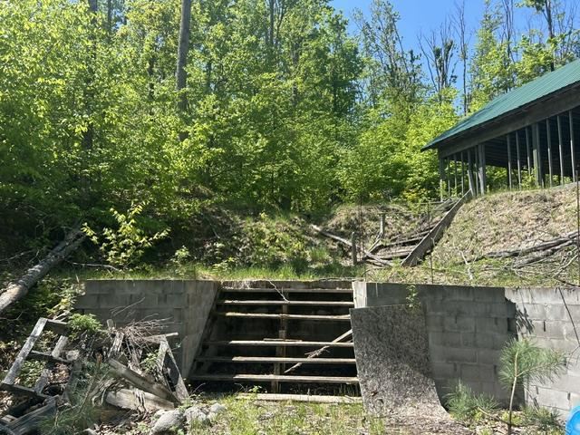 5436 Valley Road Alanson MI 49706