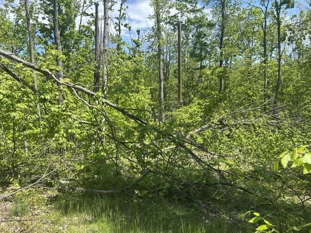 5436 Valley Road Alanson MI 49706