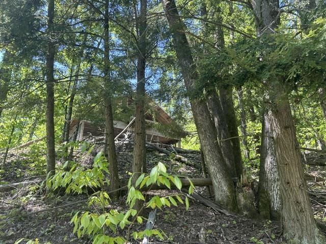 5436 Valley Road Alanson MI 49706