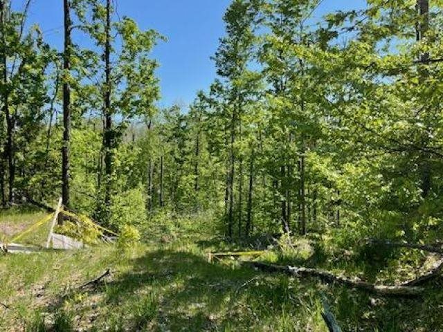 5436 Valley Road Alanson MI 49706