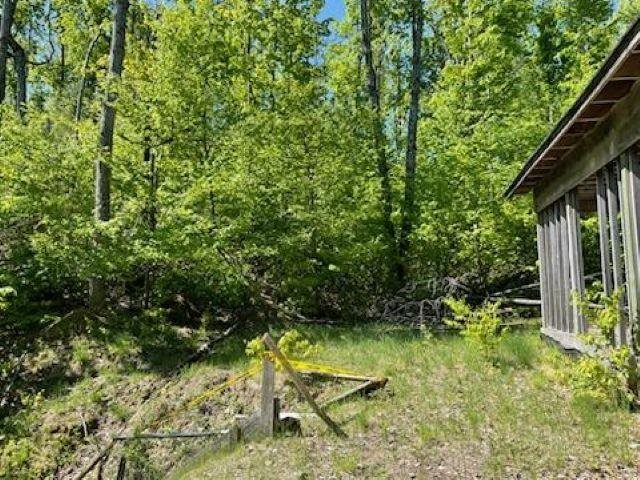5436 Valley Road Alanson MI 49706