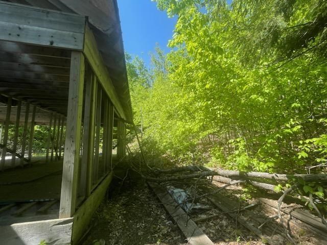 5436 Valley Road Alanson MI 49706