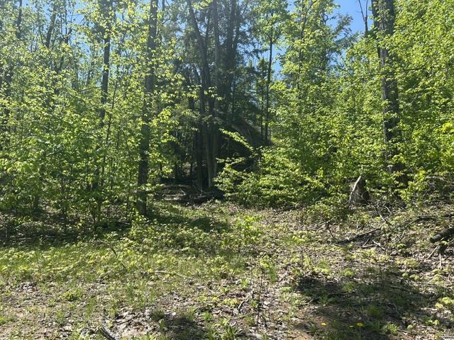 5436 Valley Road Alanson MI 49706