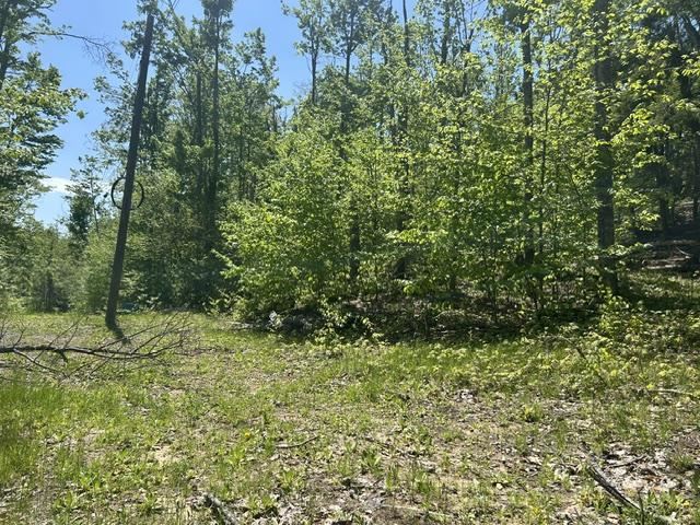 5436 Valley Road Alanson MI 49706