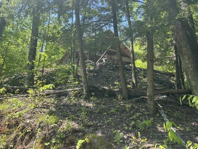 5436 Valley Road Alanson MI 49706