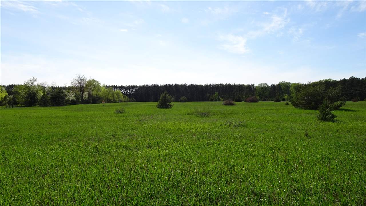 Tbd Priest Road Mancelona MI 49659