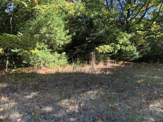 Tbd W Etherington Street Mackinaw City MI 49701