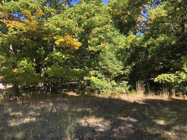 Tbd W Etherington Street Mackinaw City MI 49701