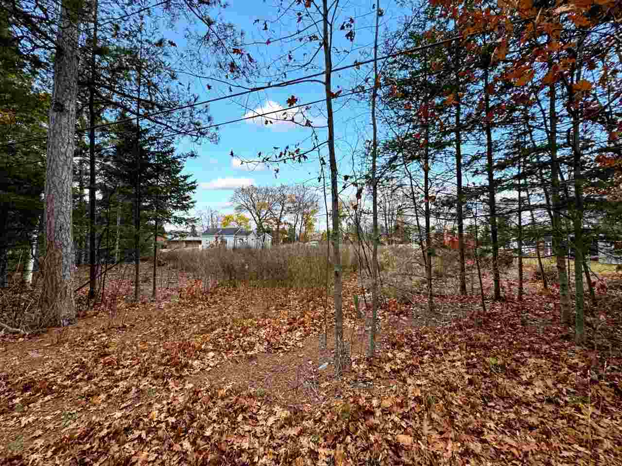 Tbd W Etherington Street Mackinaw City MI 49701