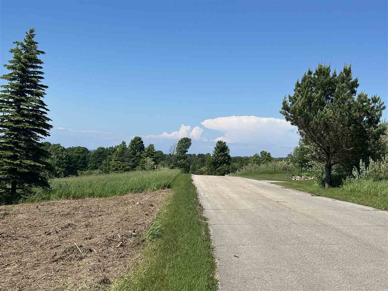 12 Foxview Drive Charlevoix MI 49720
