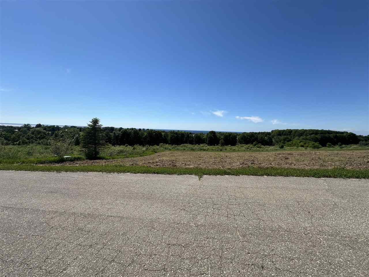 12 Foxview Drive Charlevoix MI 49720